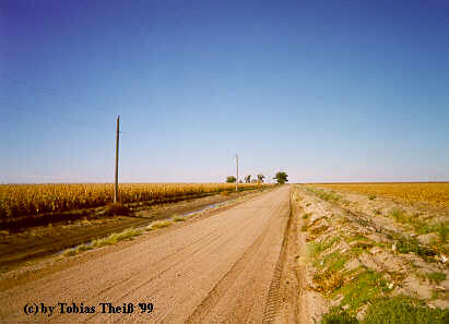 Plain Dirt Road